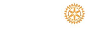 Rotary Club de Douro e Vouga International Logo